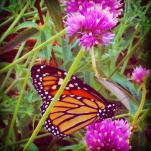 Meet your Posher, E c